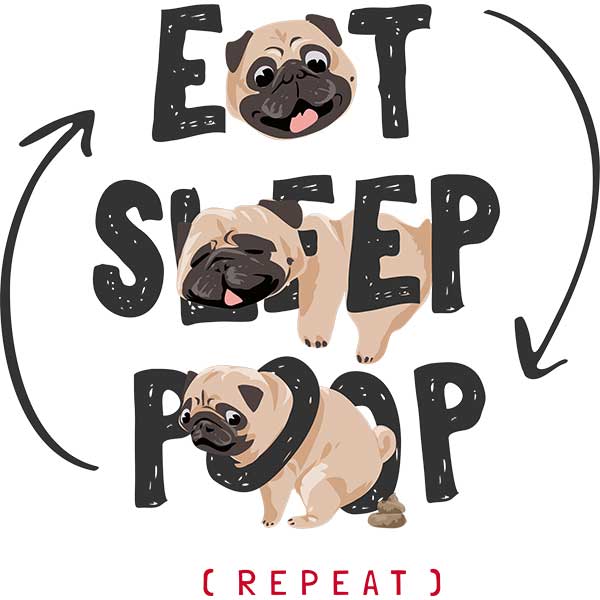 DTF Printing Products - Custom Quote Printing Services