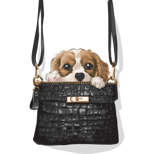 Custom Cartoon Prints with DTF Printing Stickrs - DOGI IN PURSE