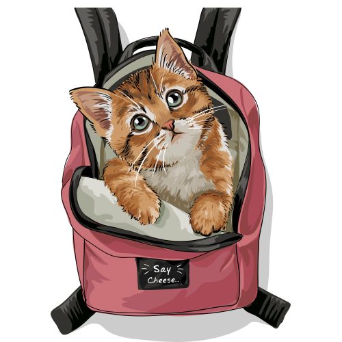 Custom UV DTF Ink Transfer Stickers for Kitten in Bag - Cartoons