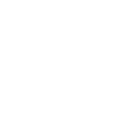 Custom DTF transfers for Roses Are Red People Are Fake quotes