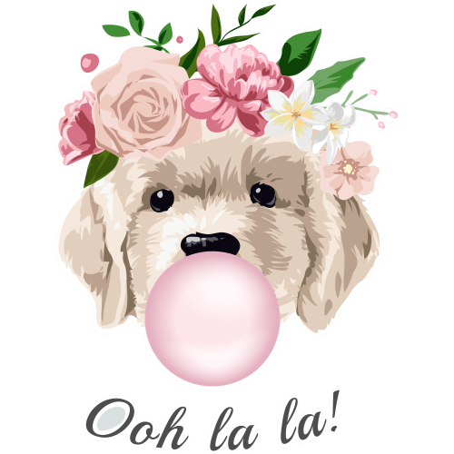 Custom DTF Ink Transfer Sticker Printing Service for Girls - OHH LA LA - High-Quality UVDTF Ink Transfer Sticker Print