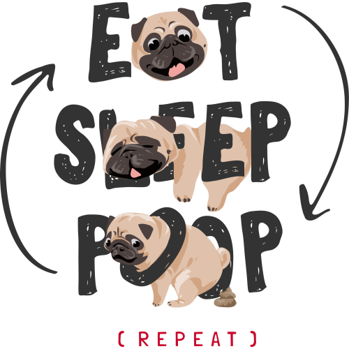 EAT SLEEP POOP Quote Stickers in UVDTF Technology with Custom Printing